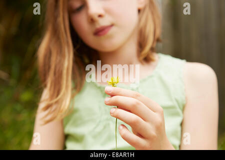 Cropped shot of girl with holding dandelion flower Stock Photo