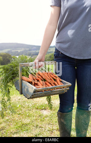 Cropped shot of teenage girl carrying a basket of fresh carrots Stock Photo