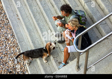 Couple eating ice cream on stairs while sad looking basset hound dog begging for food Stock Photo