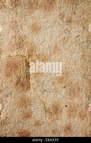 Antique grunge paper close up , hi-res . Great design element or grunge layer for your projects. Stock Photo