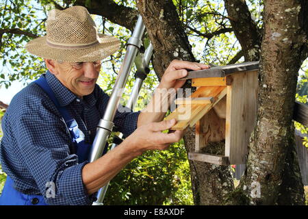 A Man on a ladder with a nist box Stock Photo