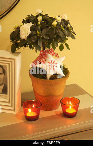 Close-up of white azalea in pot decorated with felt Christmas star on table with lighted tea lights in red glass jars Stock Photo