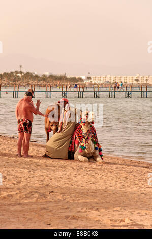 Camel Ride Stock Photo