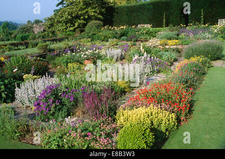 Red  helenium and blue Campanula glomerata Superba in colorful herbaceous summer borders in large country garden Stock Photo