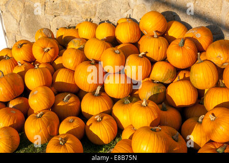 Pumpkins pile at wall on farm Stock Photo