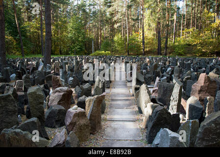 Passage between rocks in the forest Stock Photo - Alamy