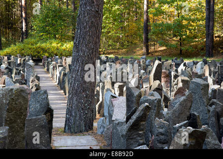 Passage between rocks in the forest Stock Photo - Alamy