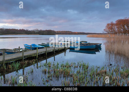 A view of Ormesby little Broad in the Norfolk Broads Stock Photo