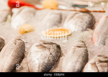 Fresh seafood Stock Photo