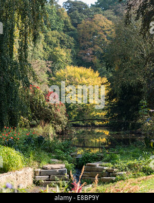 autumn nature with trees and pond with bridge Stock Photo