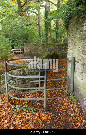 Kissing gate on rural footpath, South Yorkshire Stock Photo