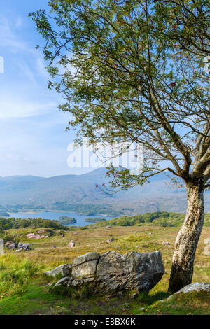 Lakes of Killarney seen from Ladies View on the N71 Ring of Kerry, Killarney National Park, County Kerry, Republic of Ireland Stock Photo