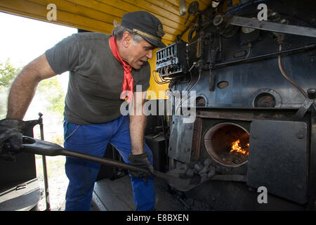 europe, italy, tuscany, crete senesi, asciano, nature train, historical  steam-engine, engine-driver Stock Photo