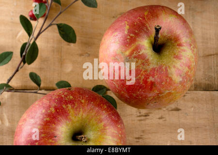 Real apples, ecological harvest on wood background. Shot with natural light Stock Photo