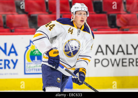 Carolina Hurricanes' Nicolas Deslauriers (44) tries to fire up fans ...