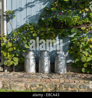 three churns for milk with plants and wood as background Stock Photo