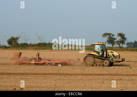 Caterpillar Challenger MT 765C tractor pulling a set of discs and harrows Stock Photo