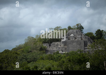The Temple I of the Mayan city of Calakmul peaks over the jungle in the Calakmul Biosphere Reserve, Campeche state, Yucatan Stock Photo
