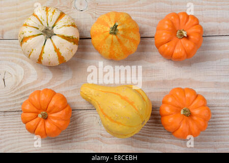 Gourds and pumpkins from a high angle on a white rustic wooden table. Horizontal format. Stock Photo