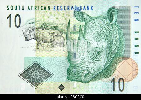 South African ten Rand note depicting a white rhinoceros. Stock Photo