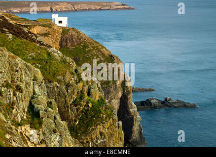 Ellins Tower RSPB on the western coast of Holy Island part of the Isle of Anglesey (Sir Ynys Mon) North Wales UK in Summer. Stock Photo