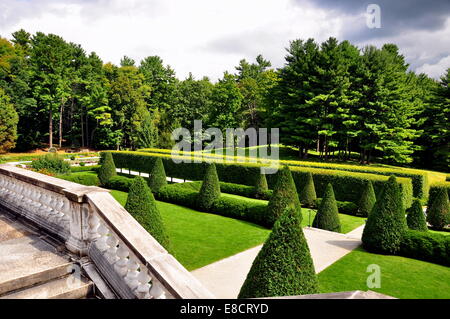Lenox, Massachusetts: Trees clipped into cone shapes on the formal terraced lawns at The Mount, Edith Wharton's Summer home * Stock Photo