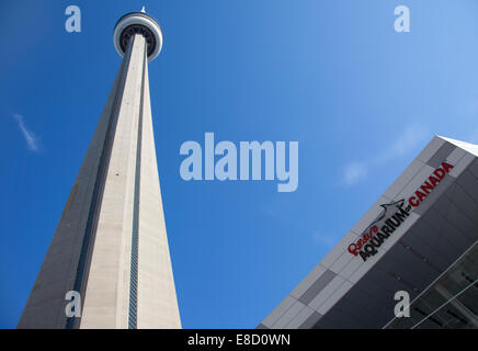 TORONTO- SEPTEMBER 15, 2014: Ripley's Aquarium Canada loacated at the foot of the CN tower in Toronto. Stock Photo