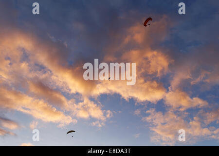 Paraglider in front of clouds at dusk, Puerto Naos, La Palma, Canary Islands, Spain Stock Photo