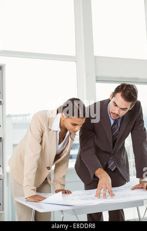 Colleagues working on blueprints Stock Photo