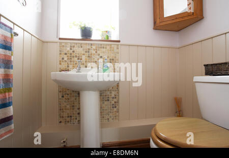 A downstairs cloakroom toilet and handbasin in a home in the UK. Stock Photo