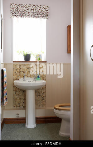 A downstairs cloakroom toilet and handbasin in a home in the UK. Stock Photo