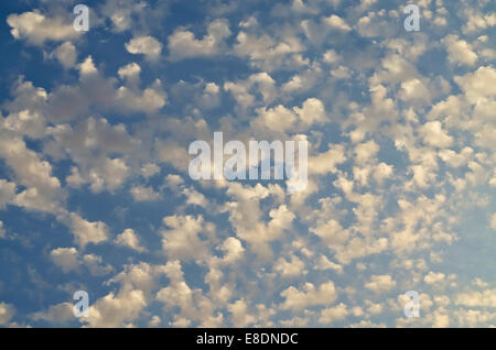 Blue sky filled with small puffy clouds at sunset, with tiny silhouette of commercial jet flying through. Stock Photo