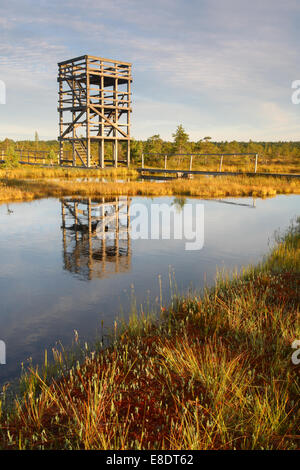 Observation tower in Männikjärve Bog, Endla Nature Reserve, Estonia Stock Photo