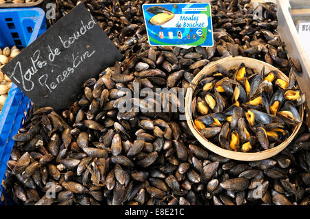 mussels on fish market stall, le pouliguen, loire atlantique, france Stock Photo