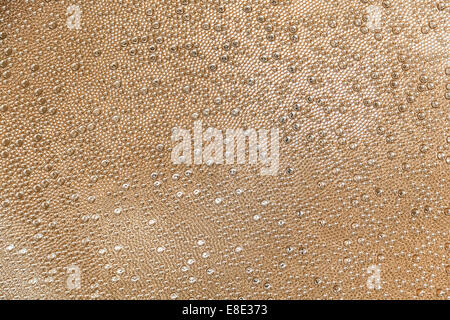 Orange Tight Droplets texture - Lots of details Stock Photo