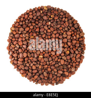Perfect Circle of Radish Seeds Texture Isolated on White Background Stock Photo