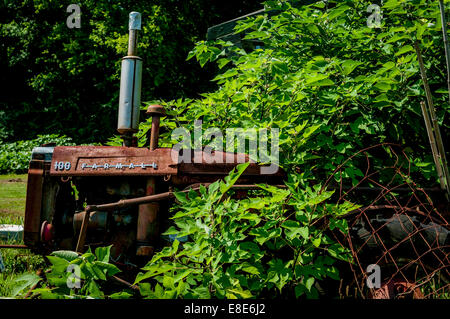 An old tractor overgrown in vines. Stock Photo