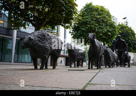 Sheep on the Road bronze sculpture by Deborah Brown in Belfast city centre Stock Photo