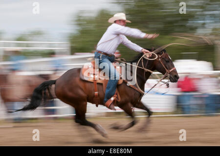 Calf roping, motion blur, Caroline Stampede, rodeo, Caroline, Alberta, Canada Stock Photo