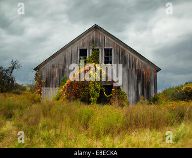 old time warn and weathered abandoned gray barn in autumn Stock Photo