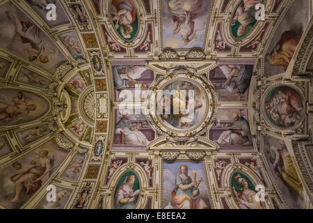 Chapel of St Peter the martyr (Capella di San Pietro Martire) ceiling fresco, Vatican museums, Vatican City Stock Photo