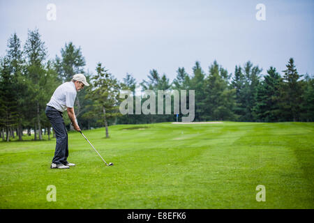 Mature Golfer on a Golf Course (ready to swing) Stock Photo