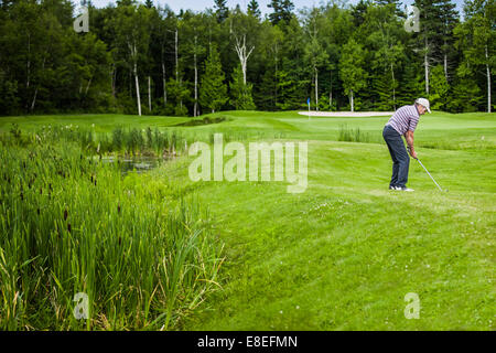 Mature Golfer on a Golf Course (ready to swing) Stock Photo