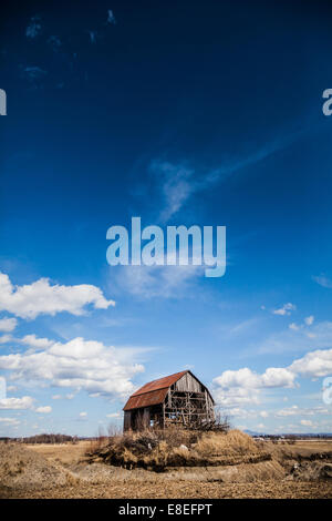 Old Abandoned Rusty Old barn in the Middle of nowhere ! Stock Photo