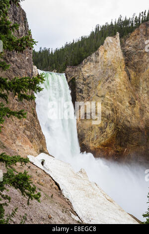 view of the lower falls in yellowstone national park from half way down the trail Stock Photo