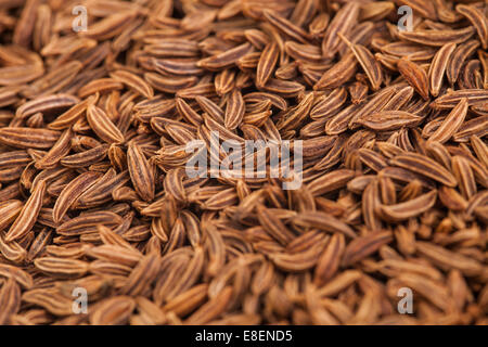 Extreme Macro Closeup of Caraway Seeds texture Stock Photo