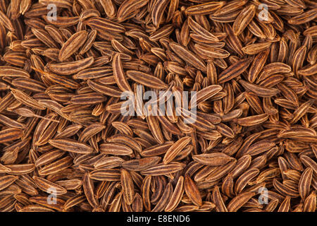 Extreme Macro Closeup of Caraway Seeds texture Stock Photo