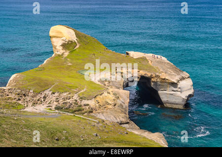 Rocky cliffs on the Pacific coast at Tunnel Beach, Dunedin, Otago Region, South Island, New Zealand Stock Photo