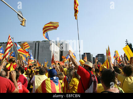 Barcelona. National Day of Catalonia (11-09-2014). Starred flags. Catalonia. Stock Photo