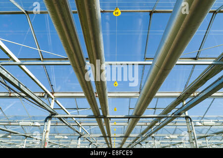 greenhouse interior with heating pipes
